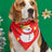 Cartoon print pet bandana for dogs and cats, in use with a pet