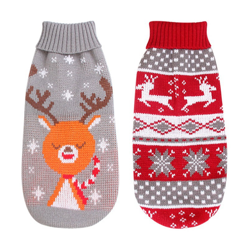 Small dog in a red reindeer knitted Christmas jumper
