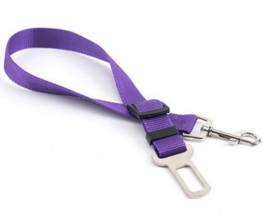 Adjustable nylon pet car seat belt lead with alloy clip in blue, view 10