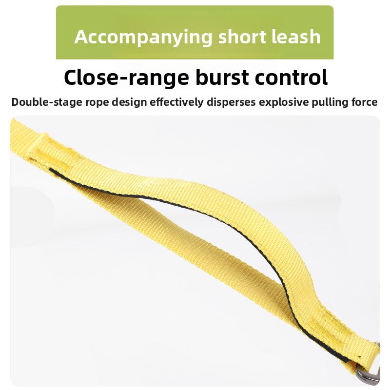 Reflective polyester rope dog slip lead and collar, product image 2