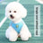 Breathable vest harness for small dogs and cats, ideal for everyday use