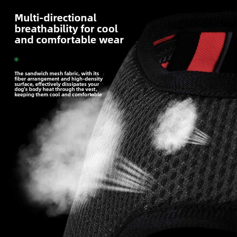 Reflective burst-resistant dog harness, ideal for everyday use