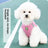 Breathable vest harness for small dogs and cats, main product photo