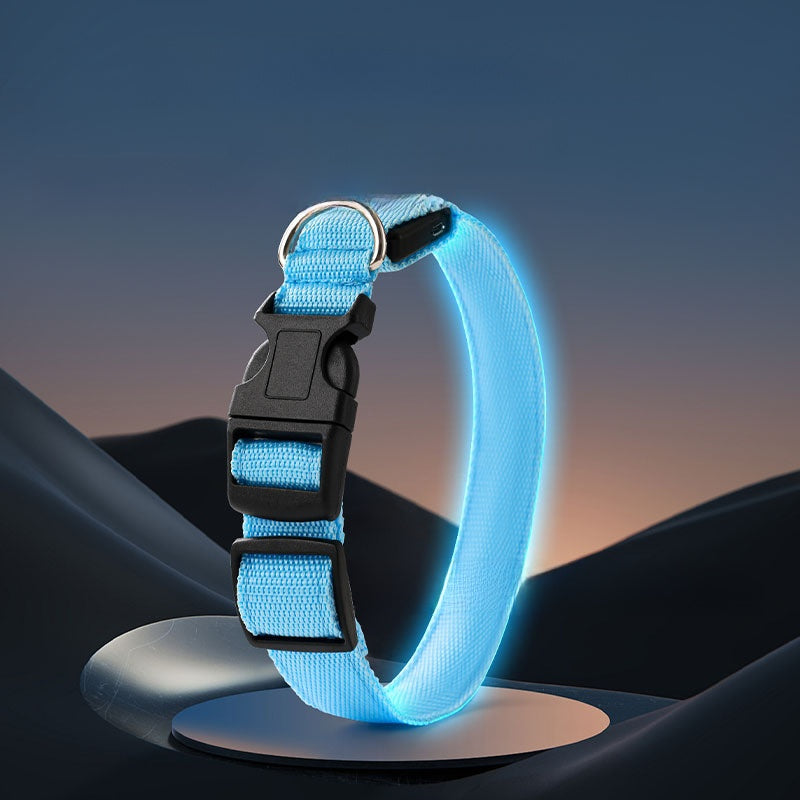 USB rechargeable LED dog collar glowing in bright colour, product image 2