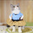 Funny character costume for small dogs, available in 7 styles, image 23