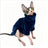 Thick velvet Sphynx cat jumper, available in 10 colours, image 65