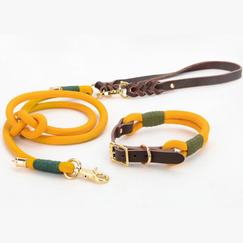 Stitched nylon dog collar with leather trim and metal buckle