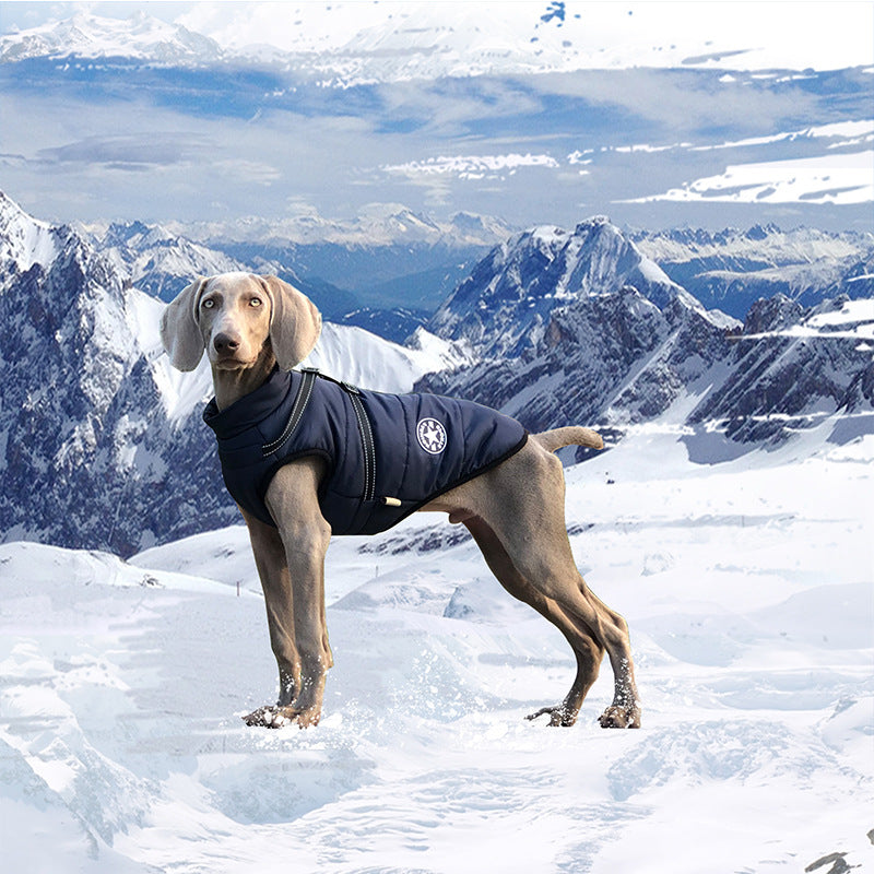 Thick padded winter dog coat in Black, front view