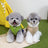 Hooded padded cotton dog coat, available in 2 colours, image 2