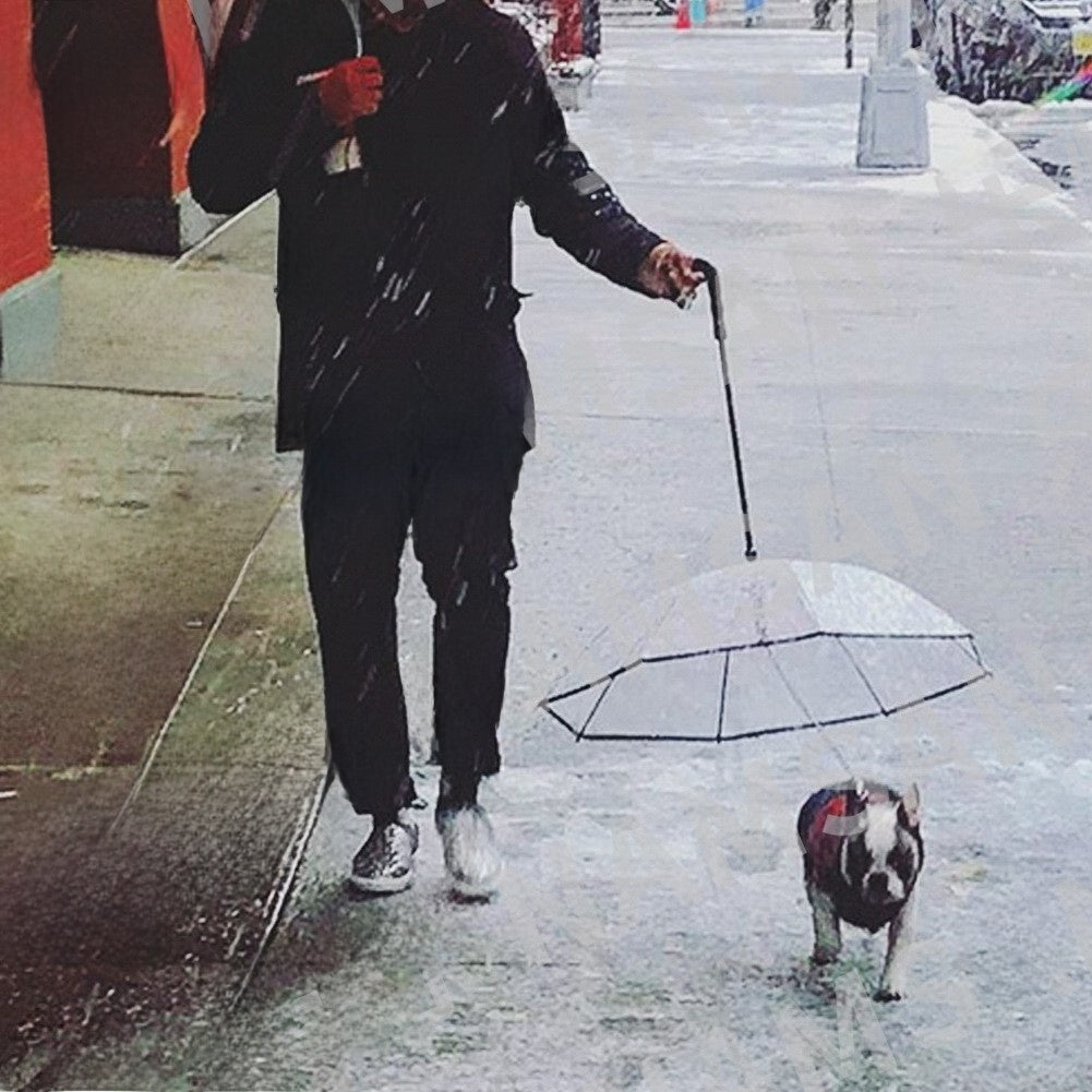 Clear Dog Umbrella with Leash for Small Dogs, Rainy Day Walks