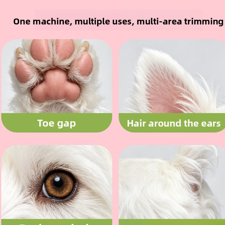 Quiet USB-C Rechargeable Precision Trimmer for Paws, Ears and Face