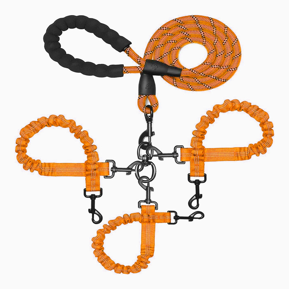 Elastic dog leads with reflective strips in ten colours
