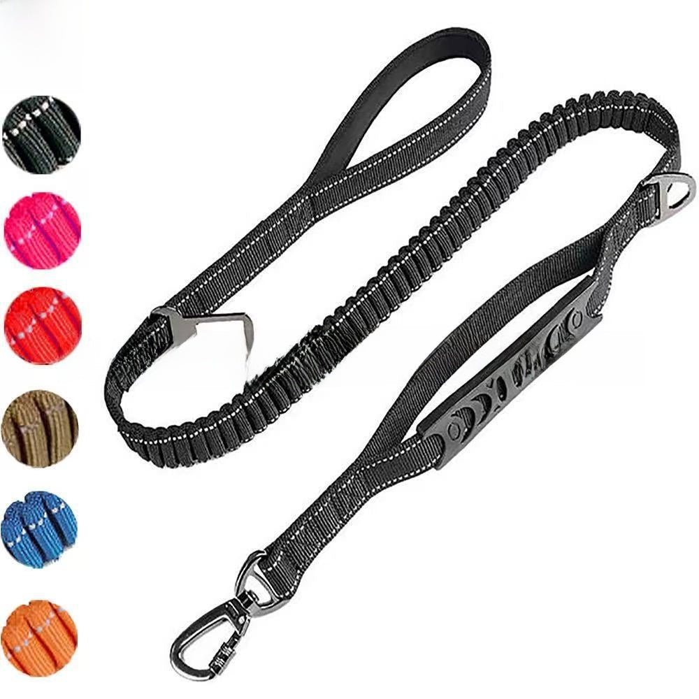 Nylon dog lead with car seat belt clip for large dogs, product photo