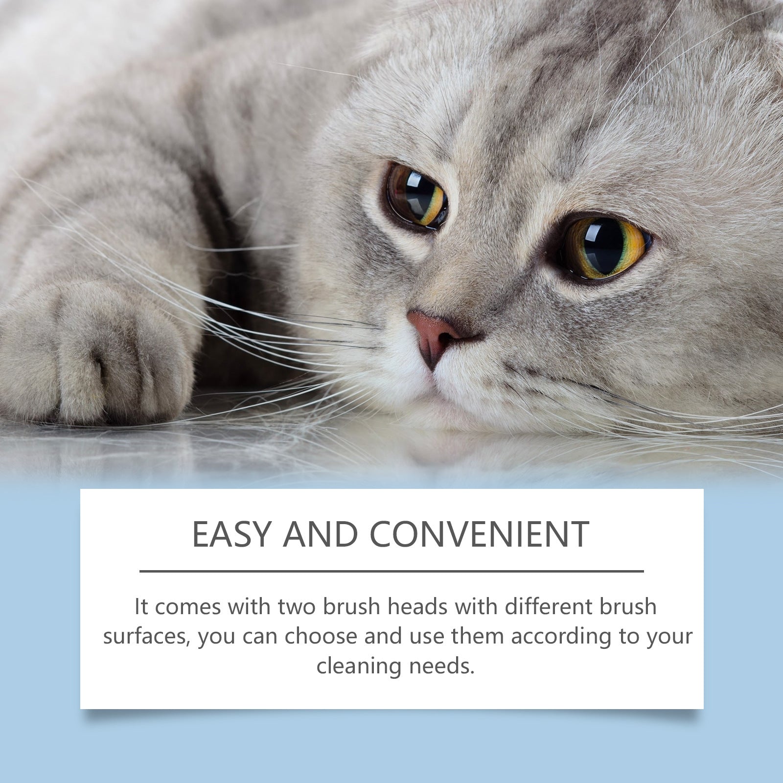 Cat Chin Cleanser and Soft Brush Set for Daily Chin Care, 30g