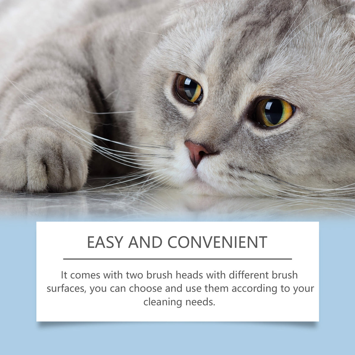 Cat Chin Cleanser and Soft Brush Set for Daily Chin Care, 30g