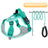Reflective vest harness for large dogs, available from Pet Royale UK