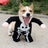 Selection of funny Halloween and Christmas costumes for pets