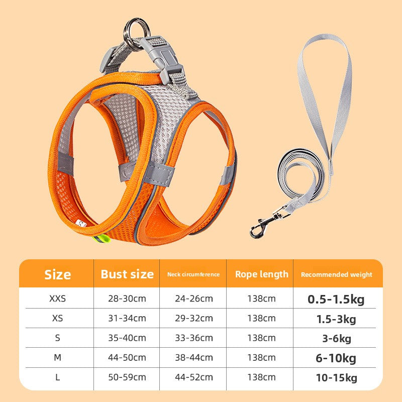 Two-tone padded harness and lead set, ideal for everyday use