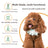 4-in-1 Pet Grooming Clipper Kit with Paw, Face and Nail Heads
