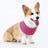 Cool touch cooling scarf for dogs and cats, available in 9 colours, image 22