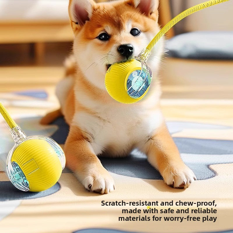 Rechargeable silicone dog ball in red - view 2