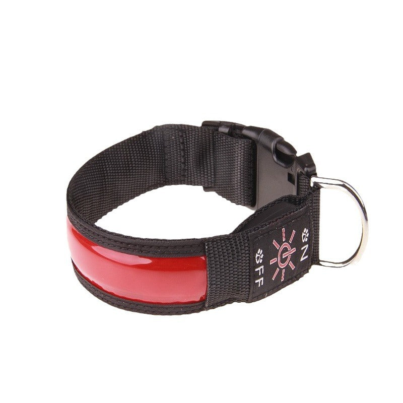 USB rechargeable LED dog collar, ideal for night walks