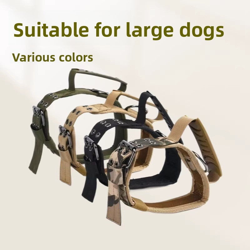 Tactical nylon dog collar with metal buckle in outdoor colours, detail close-up