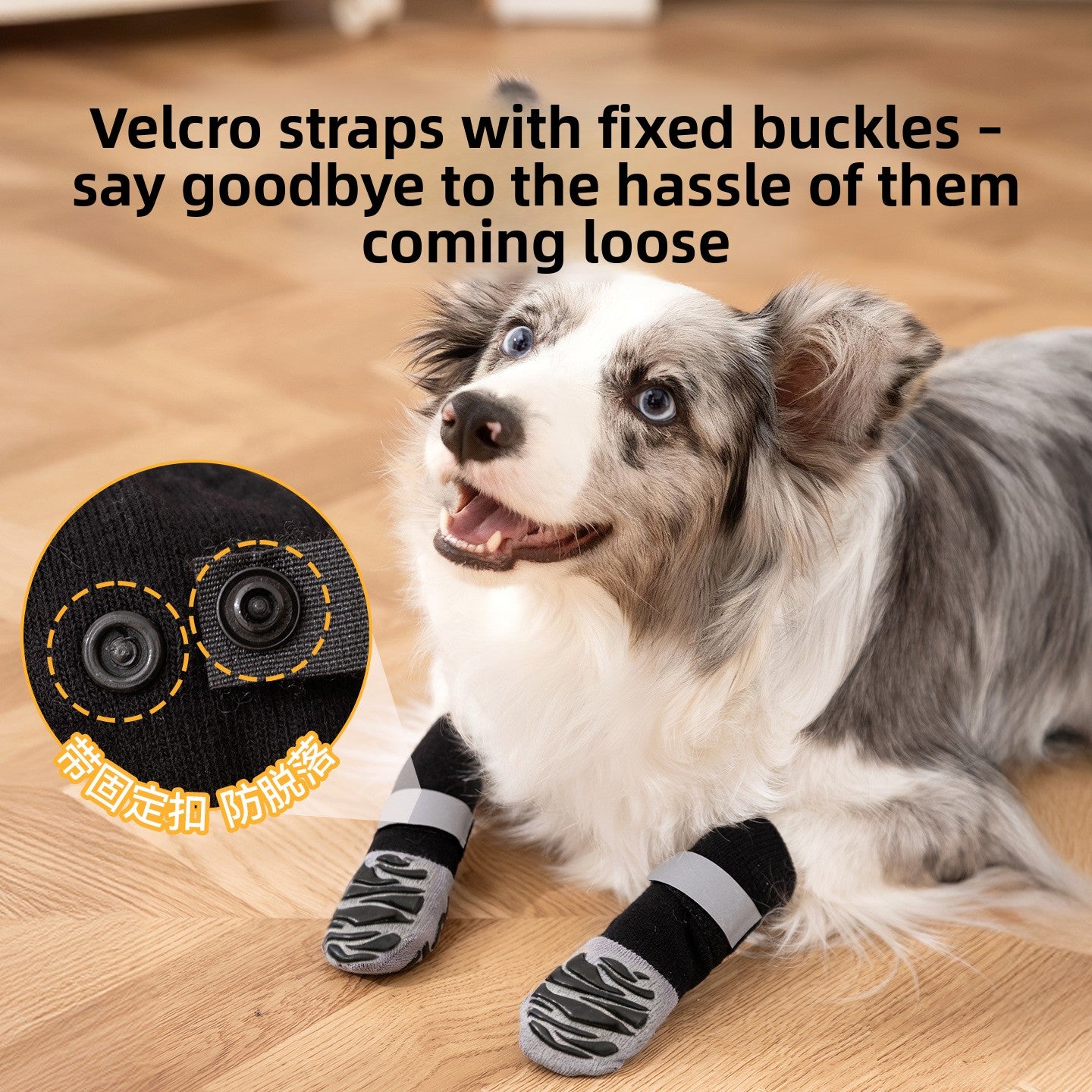 Non-slip cotton socks for medium and large dogs in Black, in a home setting