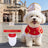 Small dog wearing a gangster style suit and hat
