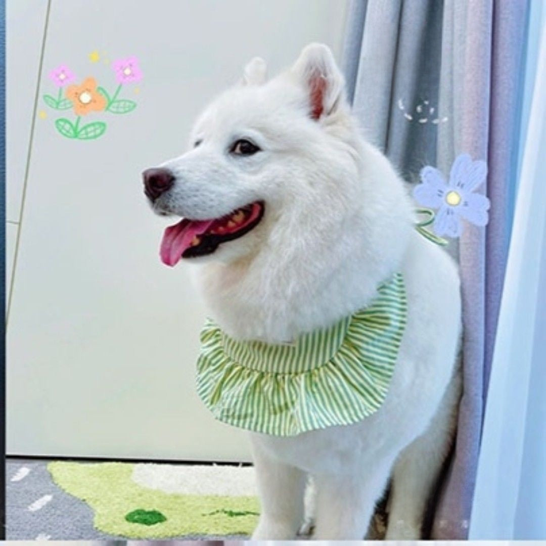 Striped summer dress for large dogs, available in 3 styles, image 25