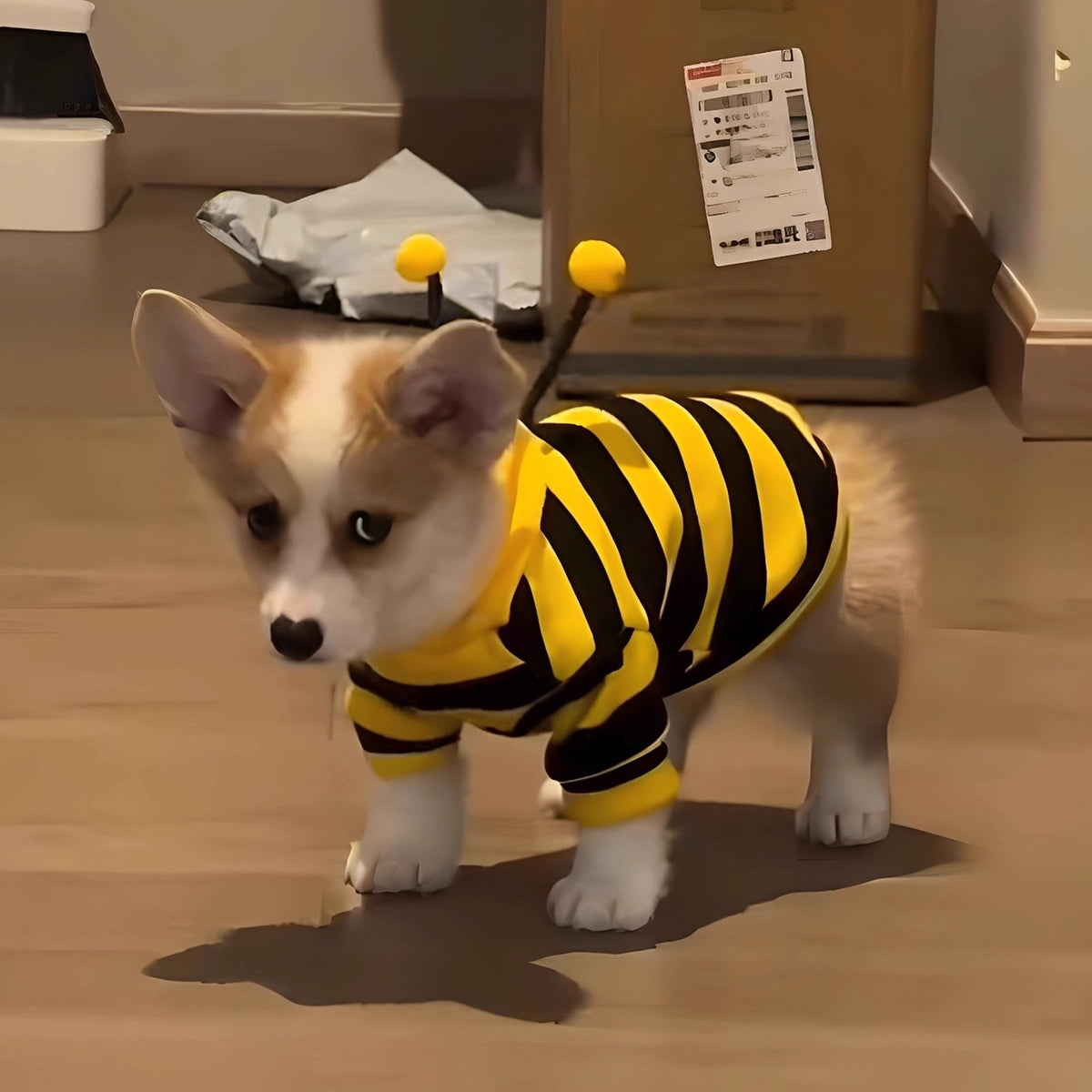 Yellow bee style fleece dog coat, in Yellow, sizes Small to Extra Large, image 1