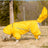 Four leg dog raincoat with tail cover, available in 4 styles, image 4