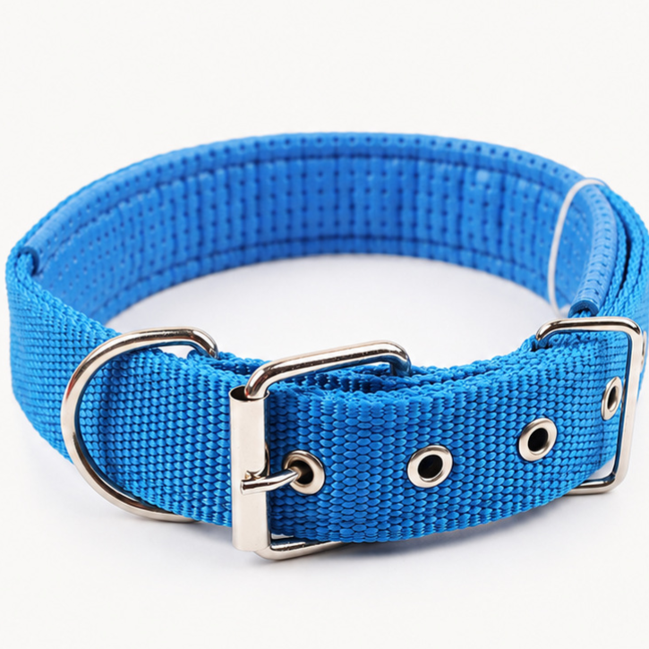 Padded nylon dog collar with foam lining, available from Pet Royale UK