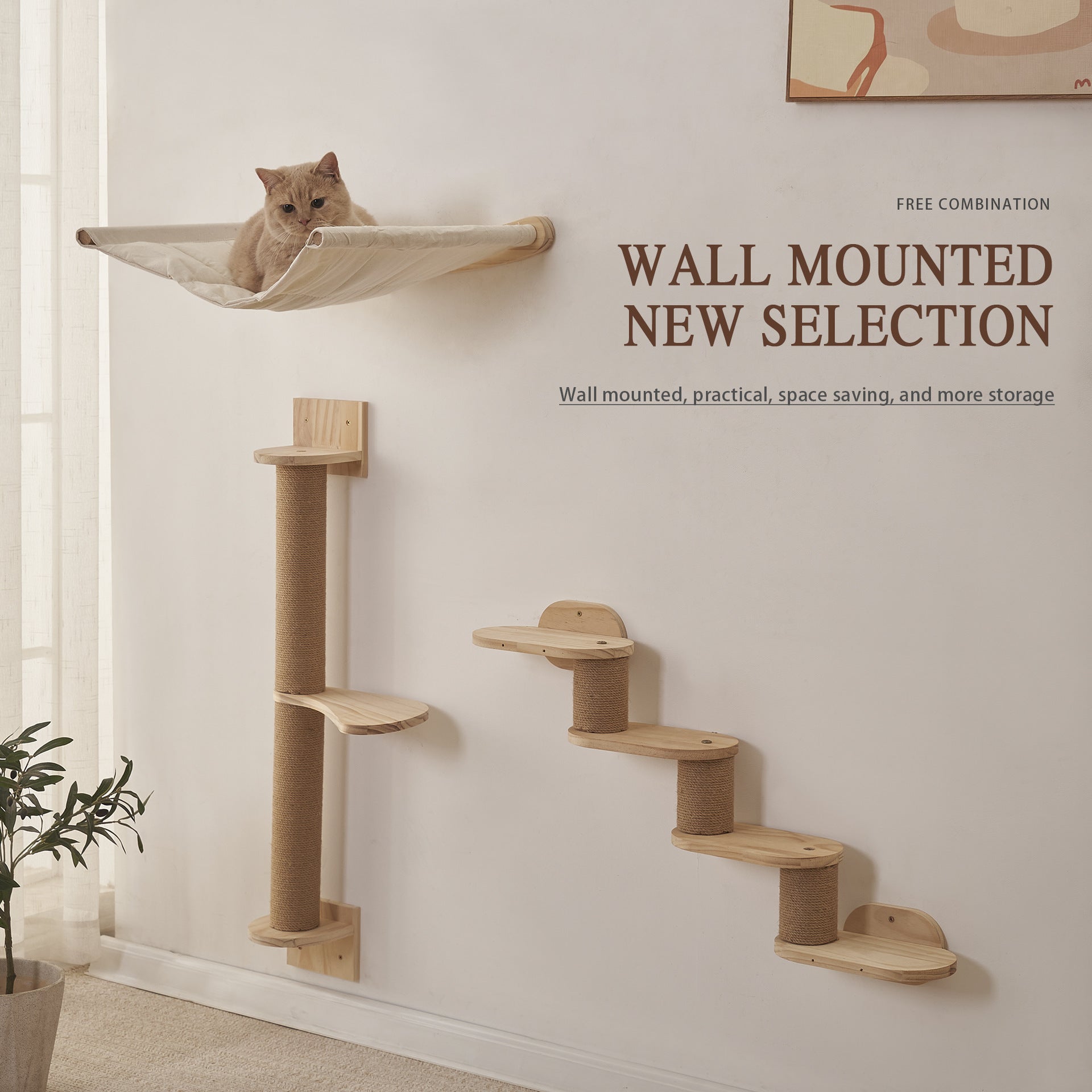 Cat resting in a wall nest above a jump platform