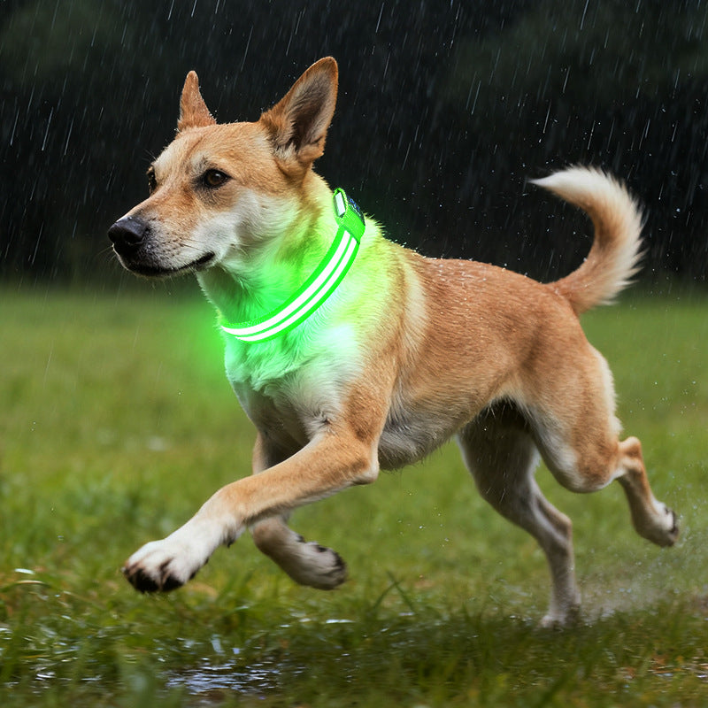 Fibre optic LED dog collar glowing in the dark, product image 2