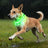 Fibre optic LED dog collar glowing in the dark, product image 2