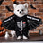 Cat dressed in a funny pumpkin head Halloween costume