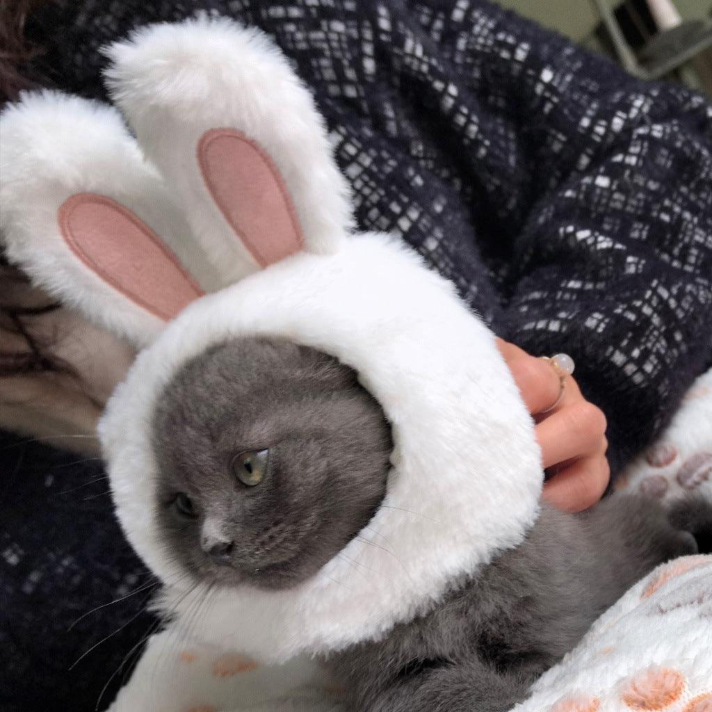 Bunny ear hat for dogs and cats, available in 3 colours, image 4