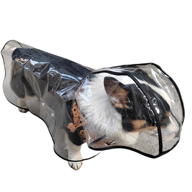 Clear dog rain poncho with coloured edging, available in 7 colours, image 4