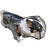 Clear dog rain poncho with coloured edging, available in 7 colours, image 4