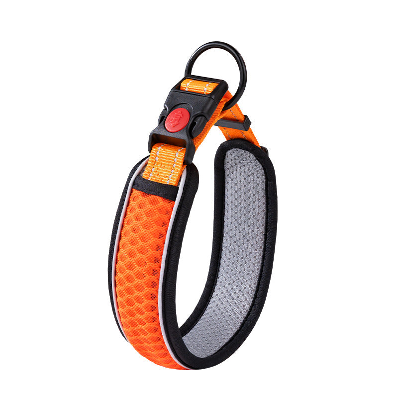 Adjustable dog collar with optional lead, main product photo