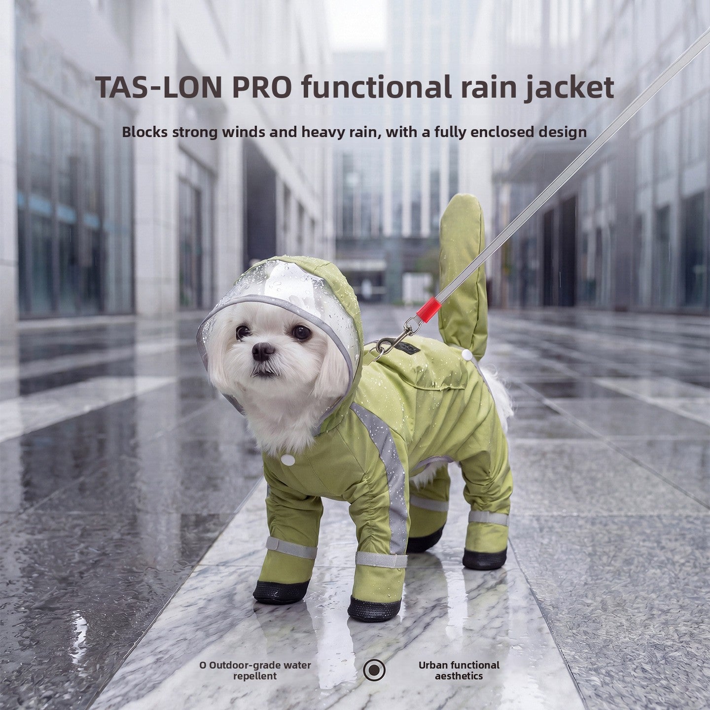 Small dog in a green hooded full cover rain poncho