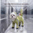 Small dog in a green hooded full cover rain poncho