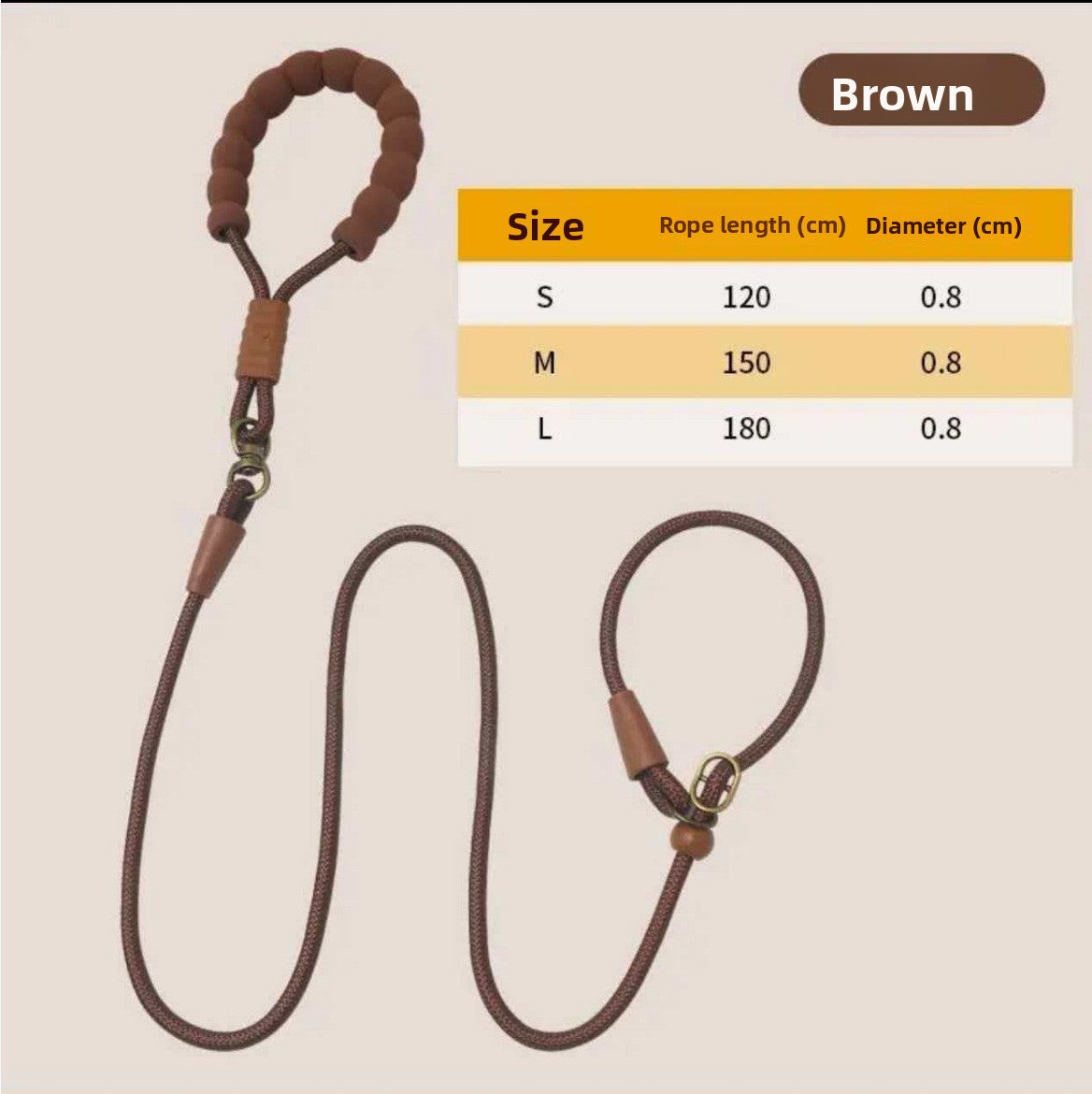 Show-style nylon slip lead for dogs, ideal for everyday use