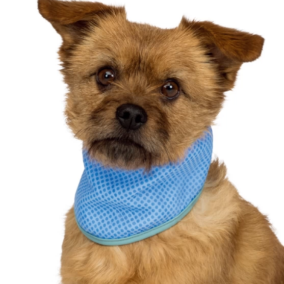 Evaporative cooling vest and collar for dogs, image 10