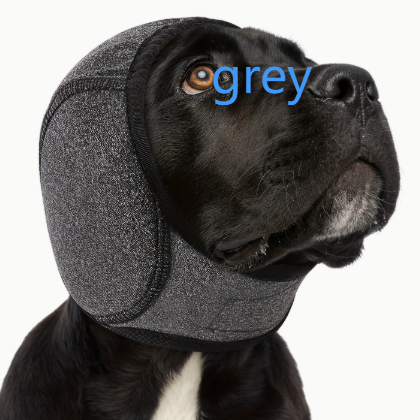 Dog ear muffs for noise reduction in Grey, in use with a pet