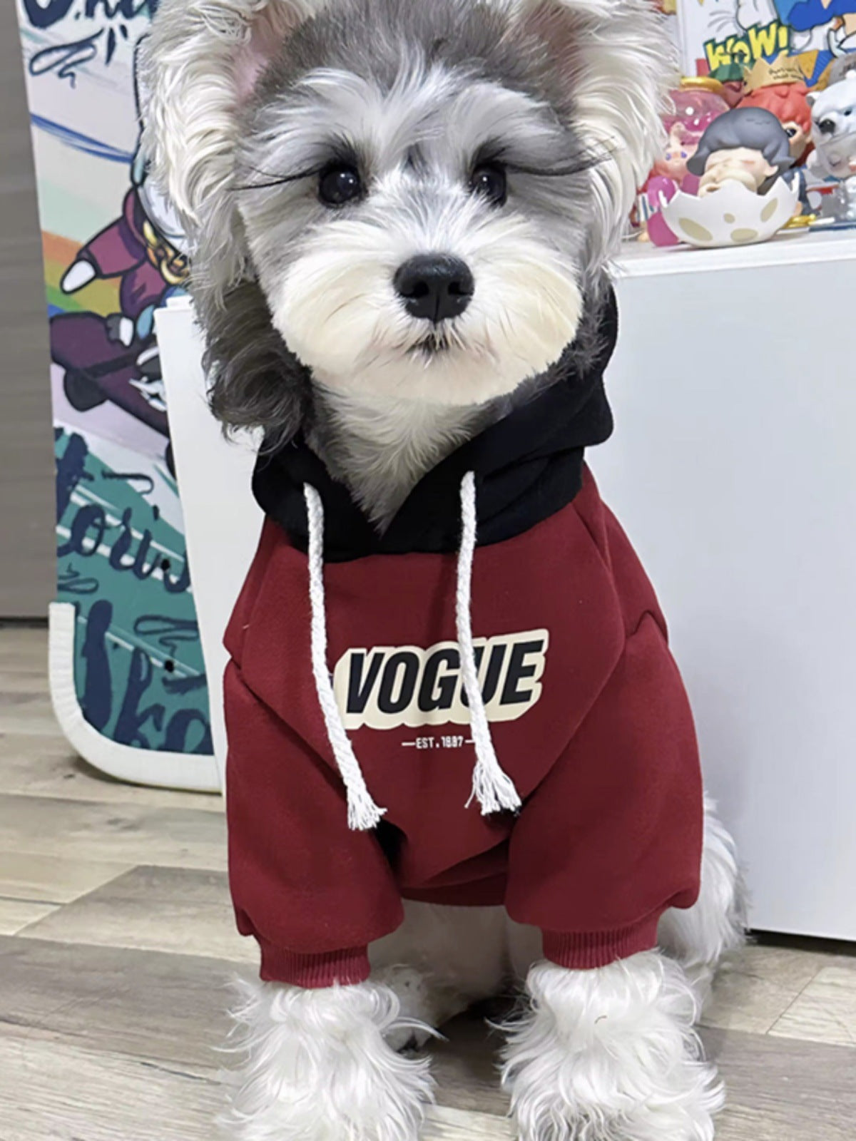 Two tone hooded sweatshirt for dogs and cats, available in 4 styles, image 2
