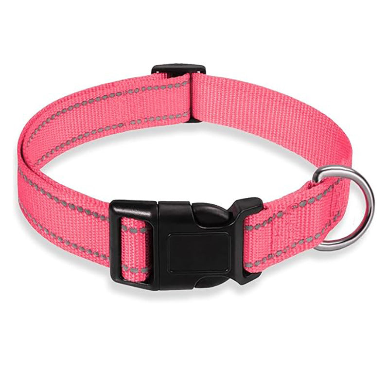 Reflective nylon dog collar, available from Pet Royale UK