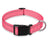 Reflective nylon dog collar, available from Pet Royale UK