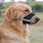 Soft mesh dog muzzles in four colours and six sizes